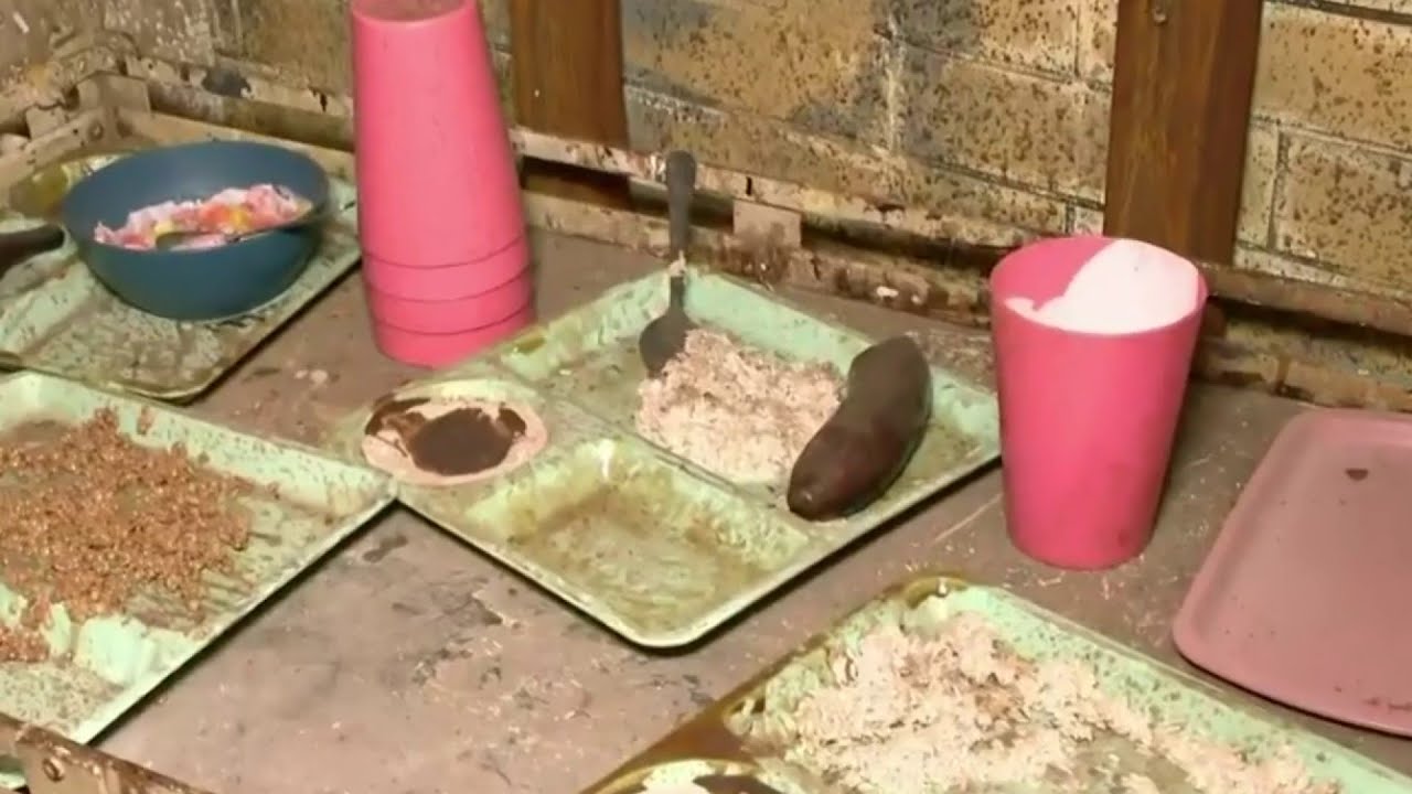 Behind the scenes at Eloise Asylum haunted attraction in Wayne County
