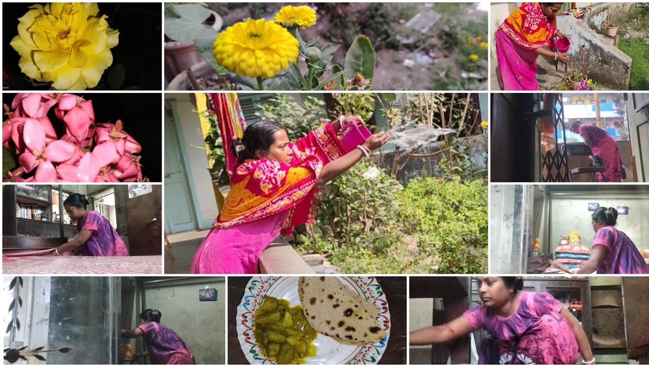 মঙ্গলবার+ফুল গাছ+রেক পরিষ্কার+শোবার ঘর পরিষ্কার+টিফিন+দুপুরের রান্না+রাতে রান্না সব নিয়ে ভিডিও😃