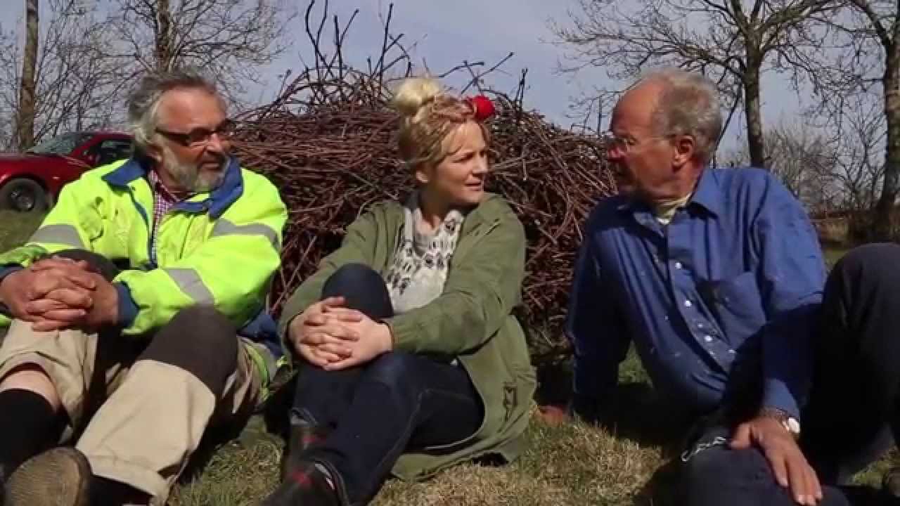 Vinodlingen på Skrea Backe, kan man odla vin i Sverige?