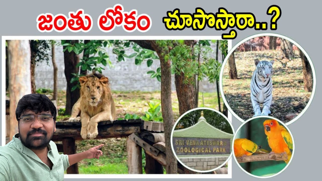 Exploring Tirupati Zoo 🦁 | Wildlife Vlog