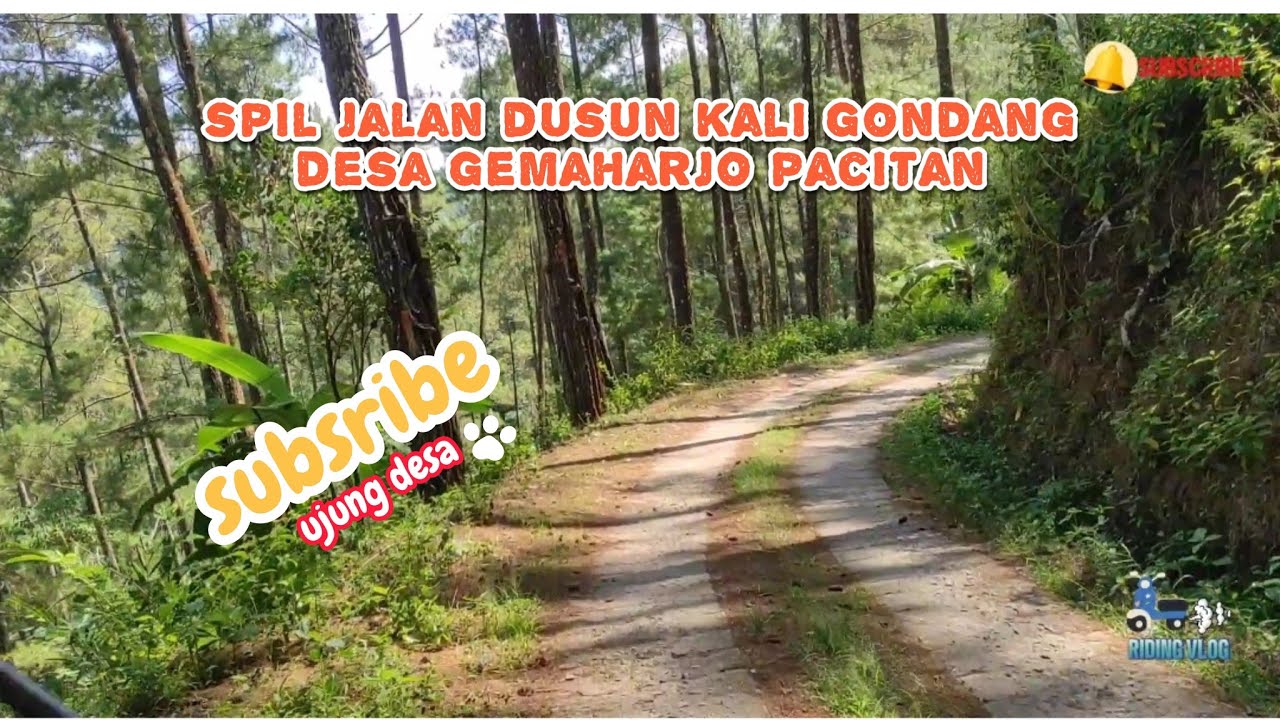 jalan di dusun kali gondang desa gemaharjo kab pacitan jawa timur‼️