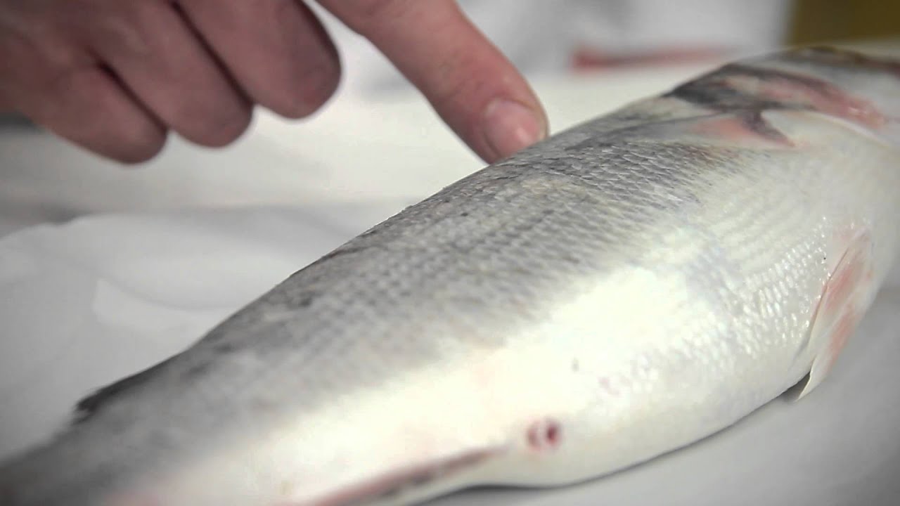 Pesce al forno: come cucinarlo  - Giornale del Cibo