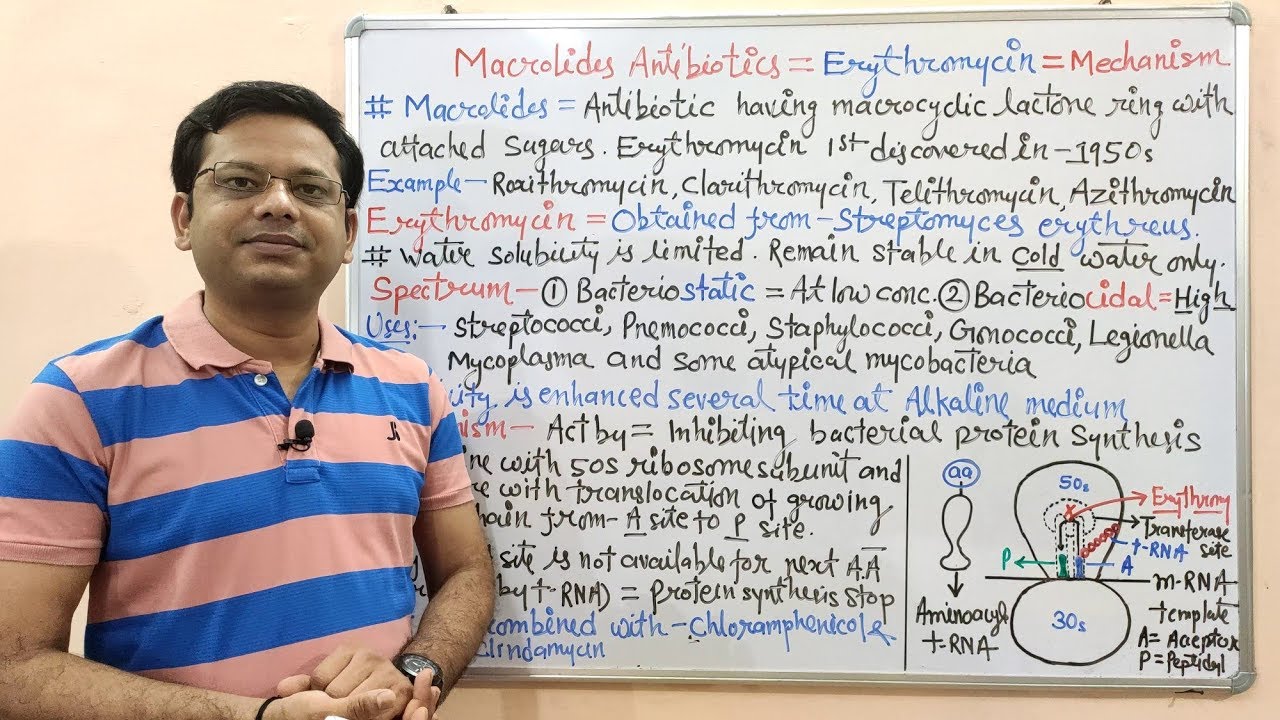 Chemotherapy of Antibiotics (Part-12) Macrolides | Erythromycin (01) Introduction & MOA| Antibiotics