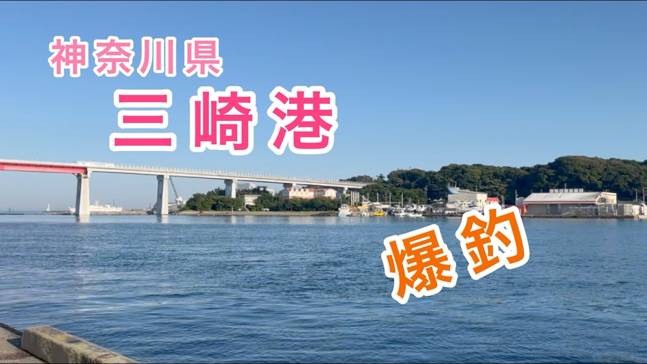 【三崎港】花暮岸壁。神奈川県三浦市、城ヶ島対岸の港で2種類のサビキ釣りを使い夕まずめからの釣行で沢山釣れました！