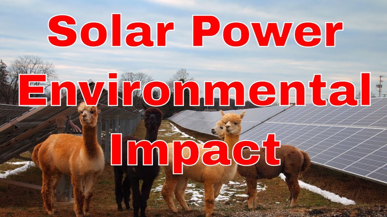 Solar Energy's Environmental Impact: Wildlife and Beyond