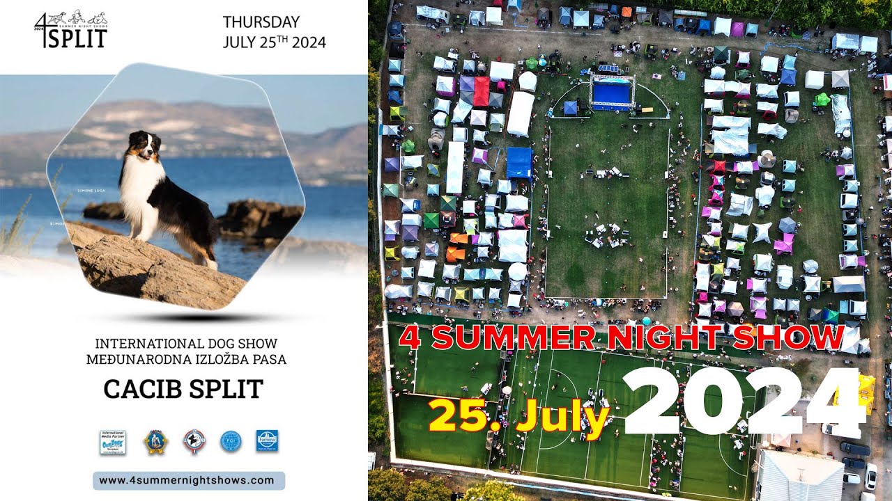 4 Summer Night  Shows  - 25.July - REMIX Live streaming