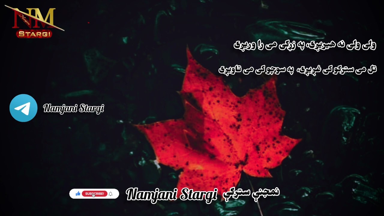 تازه په تازه غمجنه ترانه 🥺💔 | ملګرو سبسکرایب مو هیر نشی | ولی ولی نه هیریږی ، په زړګی می را وریږی
