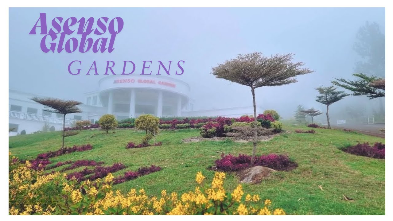 SCALING THE STEPS OF ASENSO GLOBAL GARDENS