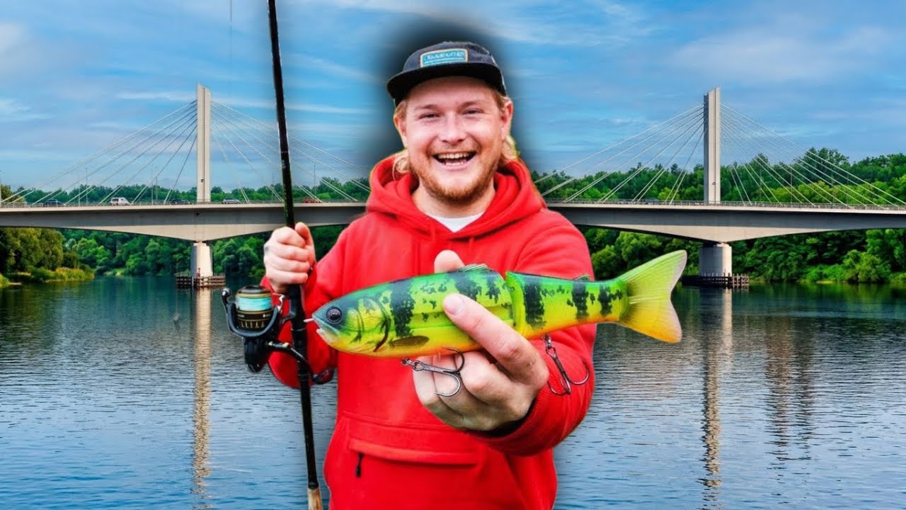POD TYM MOSTEM ROI SIĘ OD RYB! 