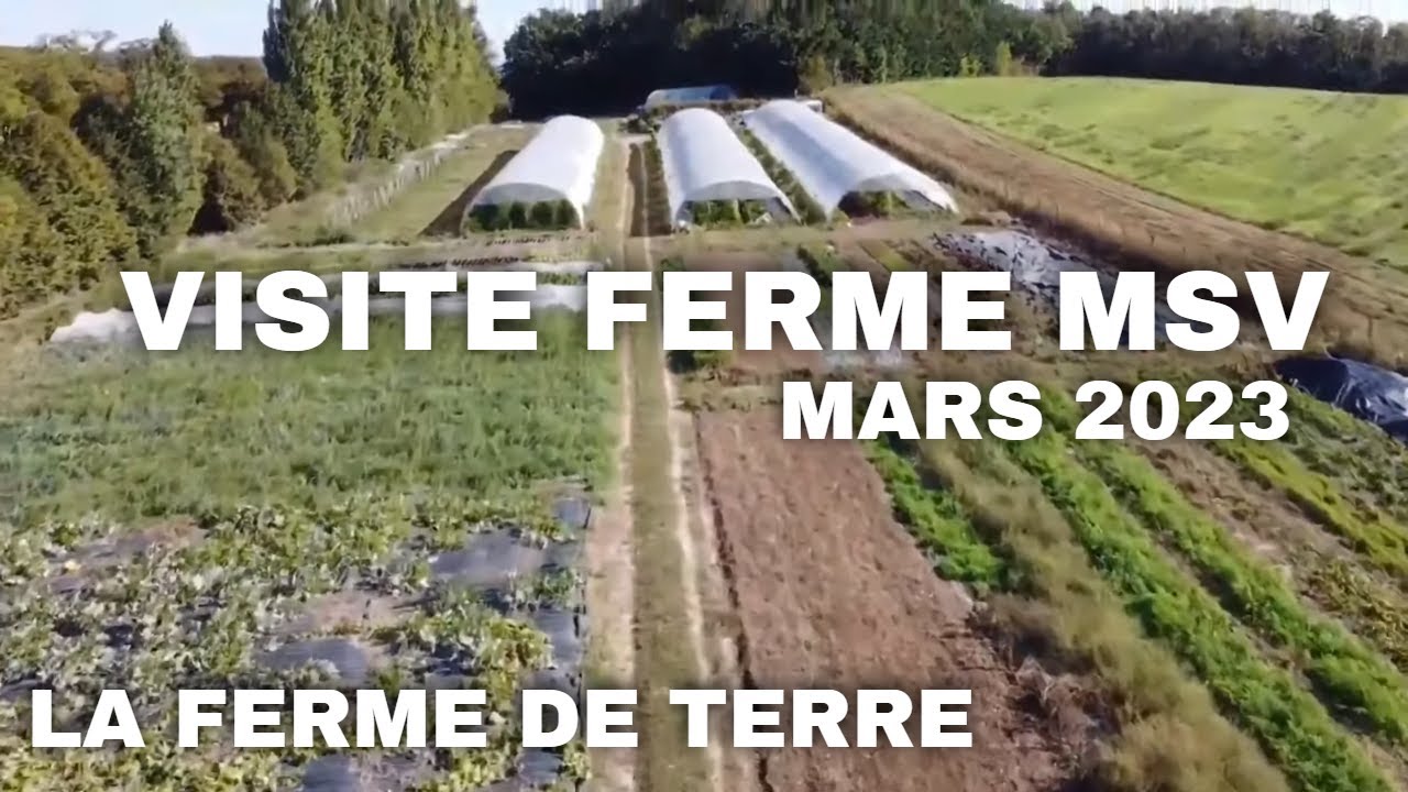Visite de ferme MSV : LA FERME DE TERRE Mars 2023