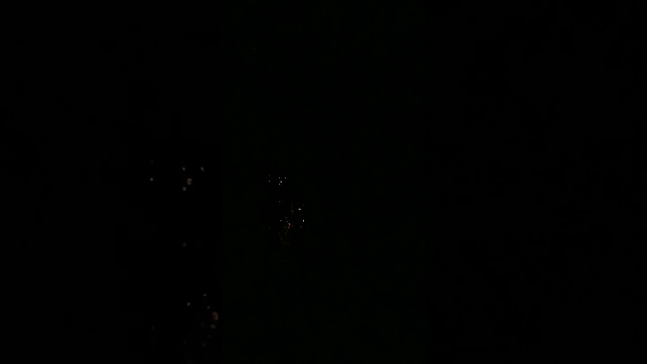creatures in the night