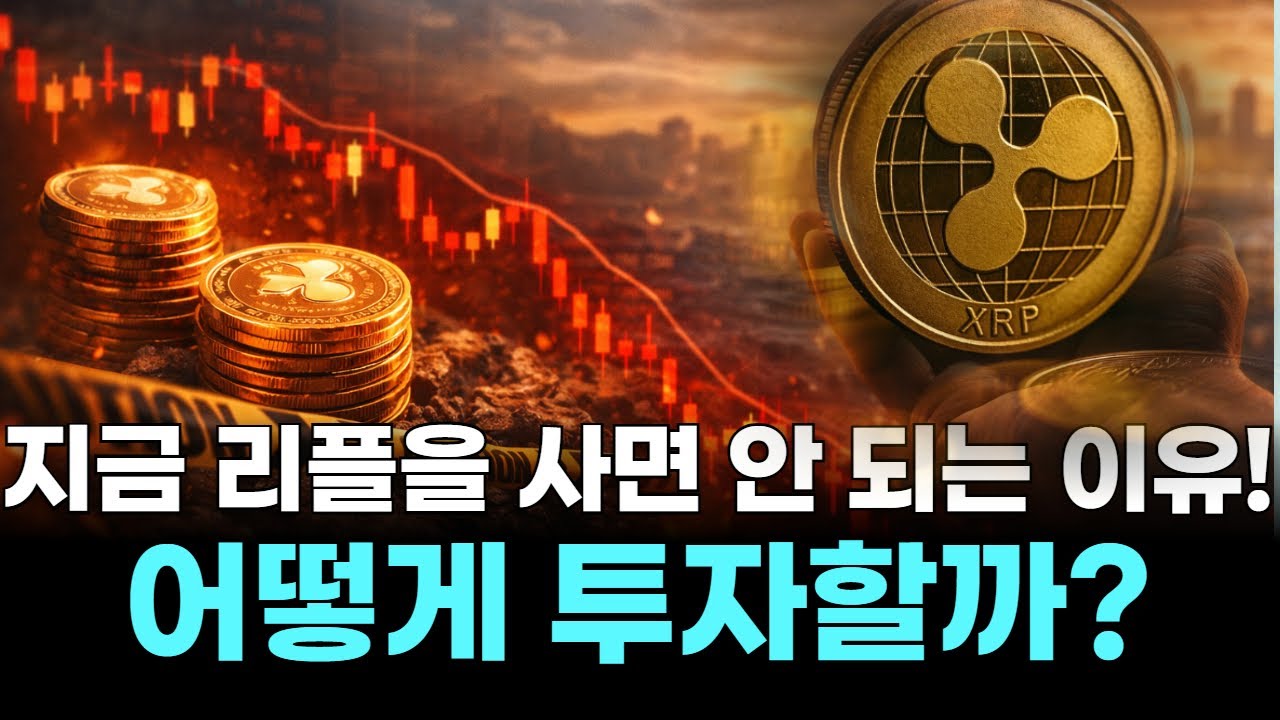 지금 리플을 사면 안 되는 이유! 어떻게 투자할까?