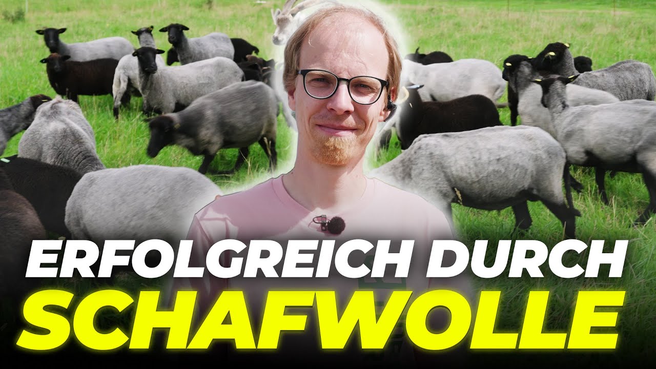 Sympathie Training für Marco Scheel von Nordwolle