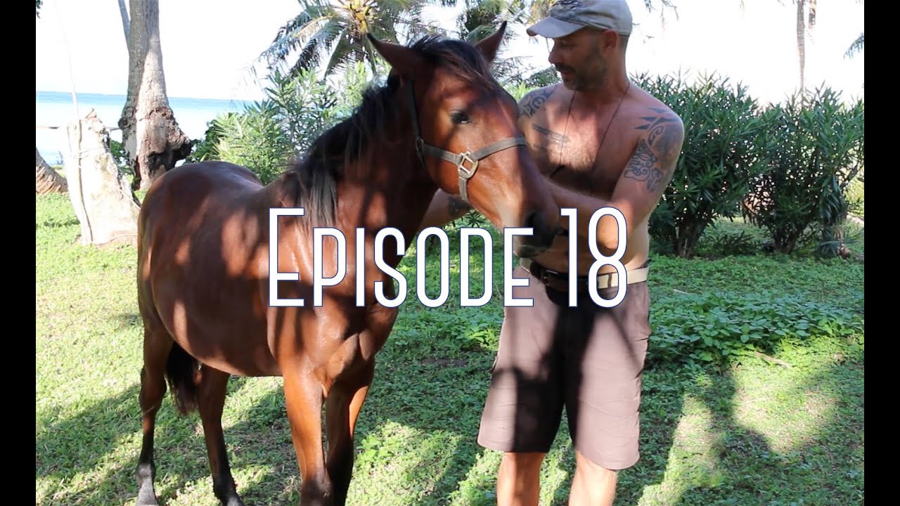 Des Gambier aux Marquises - Épisode 18 - Eco Sailing Project