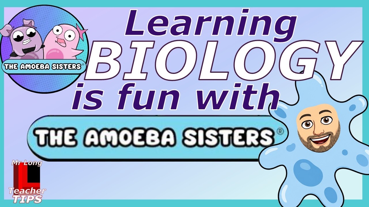 Увлекательное изучение биологии с The Amoeba Sisters