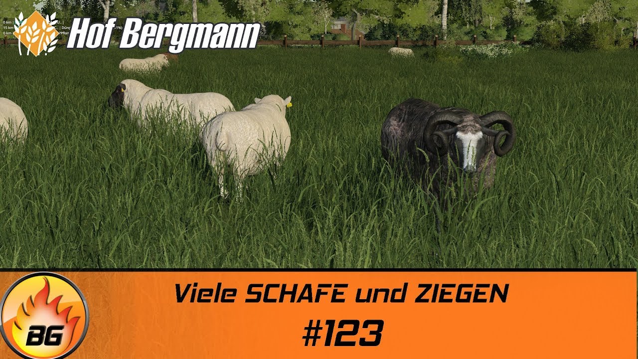 LS19 - Hof Bergmann #123 | Viele SCHAFE und ZIEGEN | FS19 | Let's Play [HD]