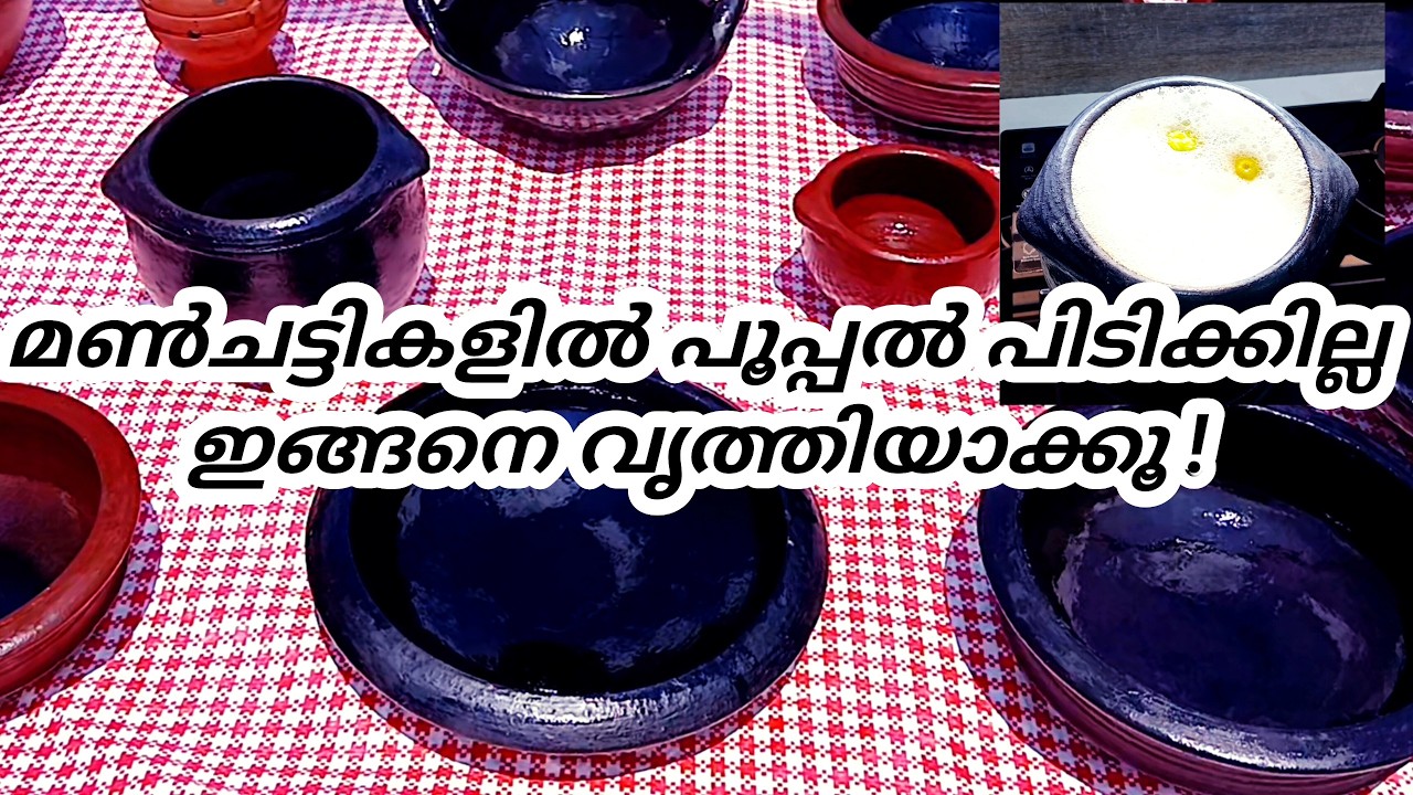 മൺചട്ടികളിൽ പൂപ്പൽ പിടിക്കാതിരിക്കാൻ ഇങ്ങനെ വൃത്തിയാക്കൂ | How To Clean Claypot After Cooking
