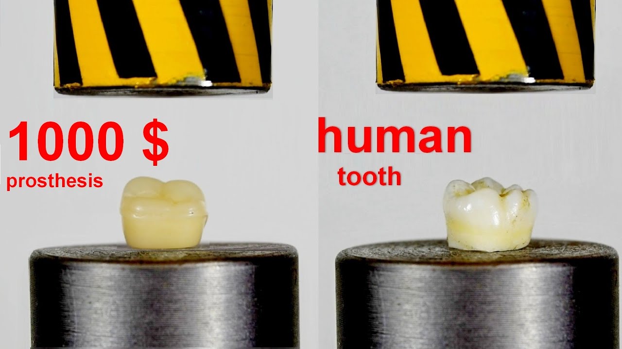HYDRAULIC PRESS VS HUMAN AND ARTIFICIAL TOOTH