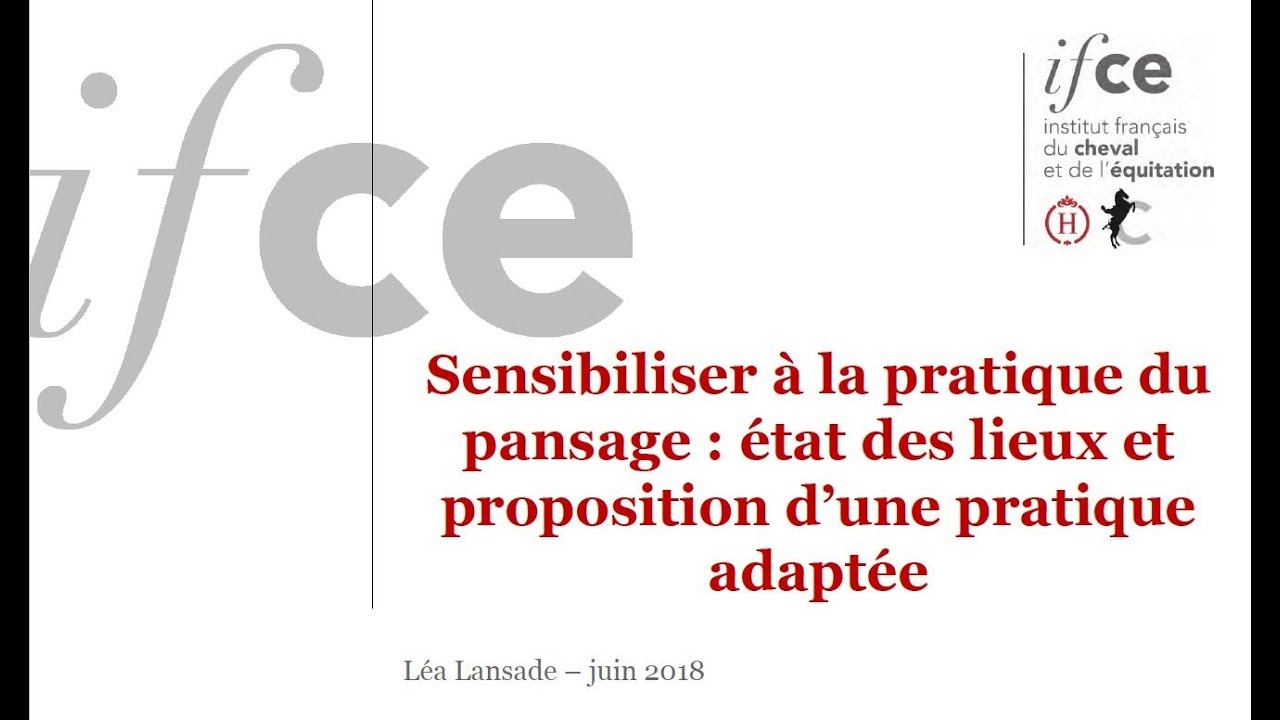 Un pansage respectueux du bien-être - Léa Lansade