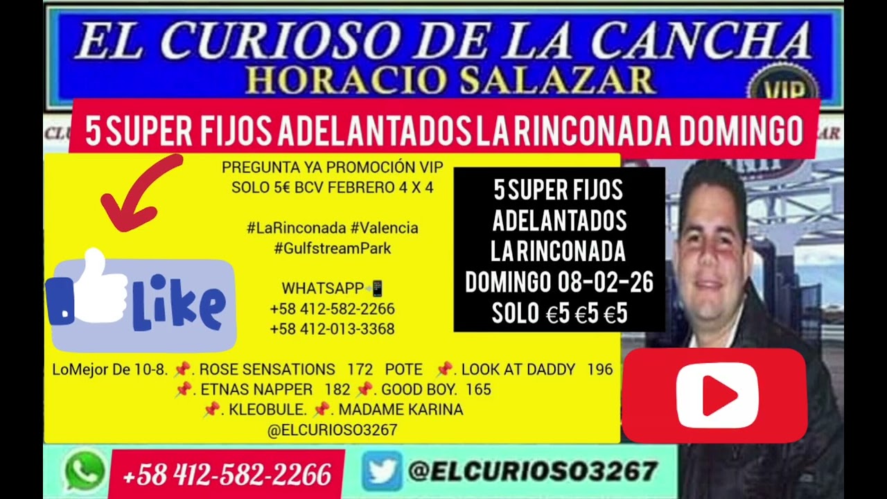 #inh 5 SuperFijos #Adelantados LasMarcas Domingo 08Febrero26 EL CURIOSO #Gratis👈 #HIPICATV