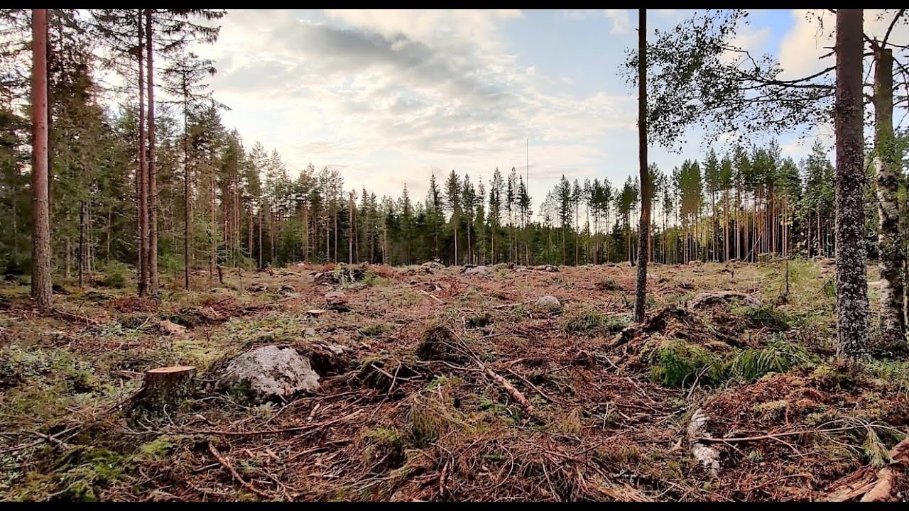 Seurakunnan sunnuntaikokous 29.8.2021 - Hannu Mehtonen