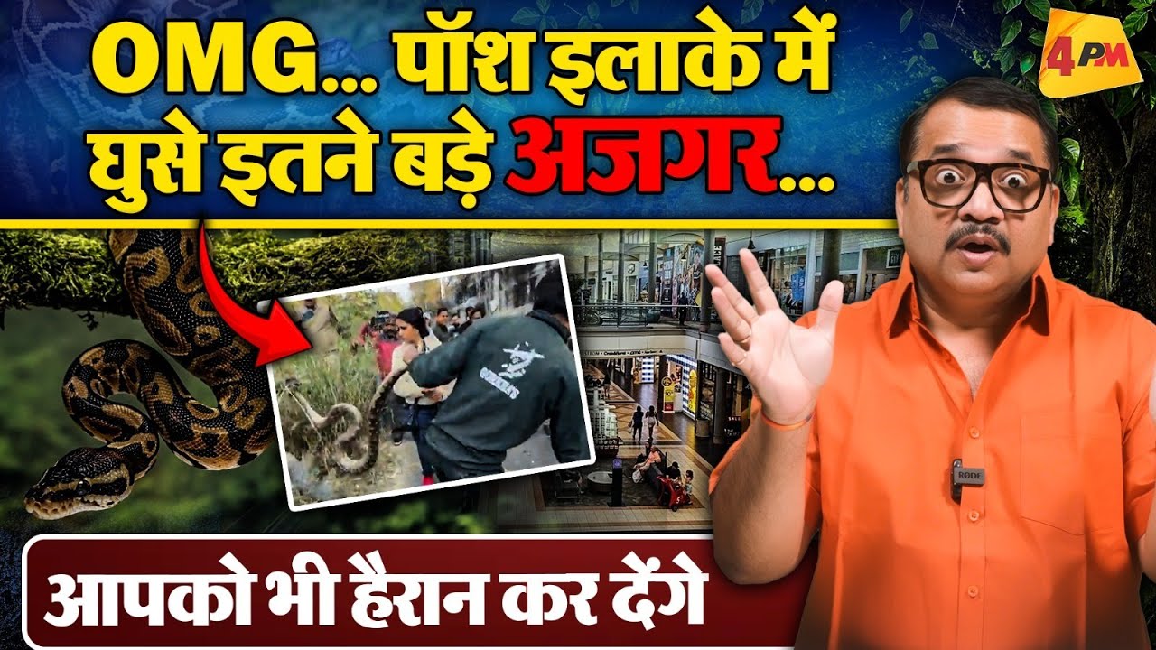 ऐसे बड़े बड़े अजगर जब देखे मैंने, ज़बरदस्त हंगामा॥ Azgar ॥ Exclusive
