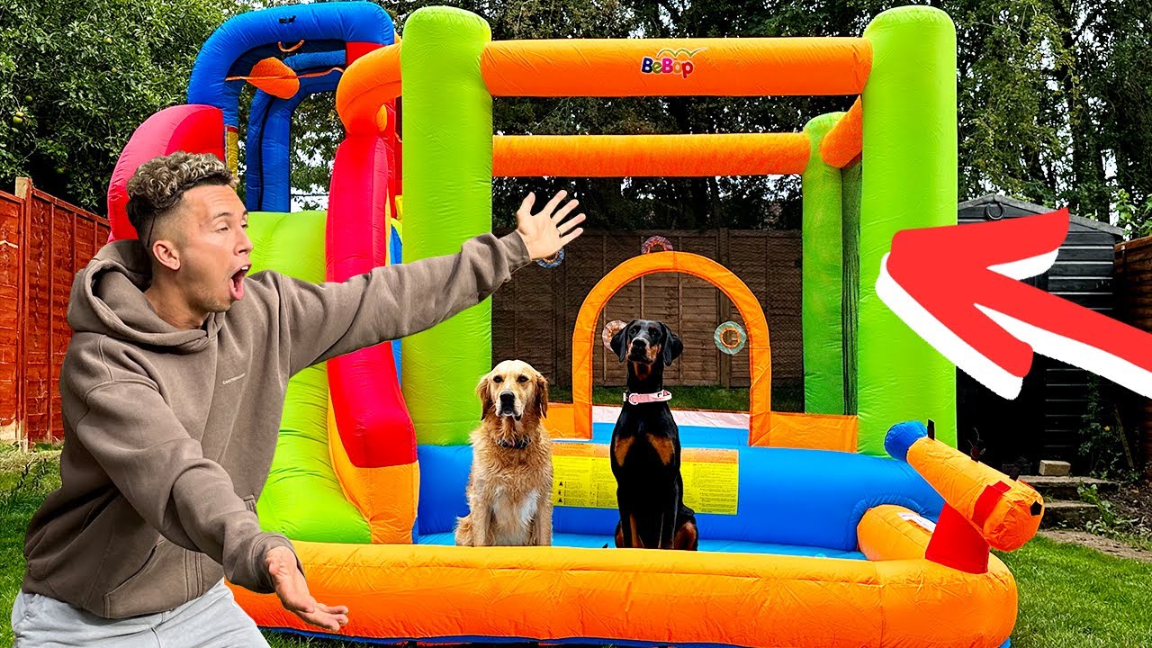 SURPRISING MY DOGS WITH A BOUNCY CASTLE!