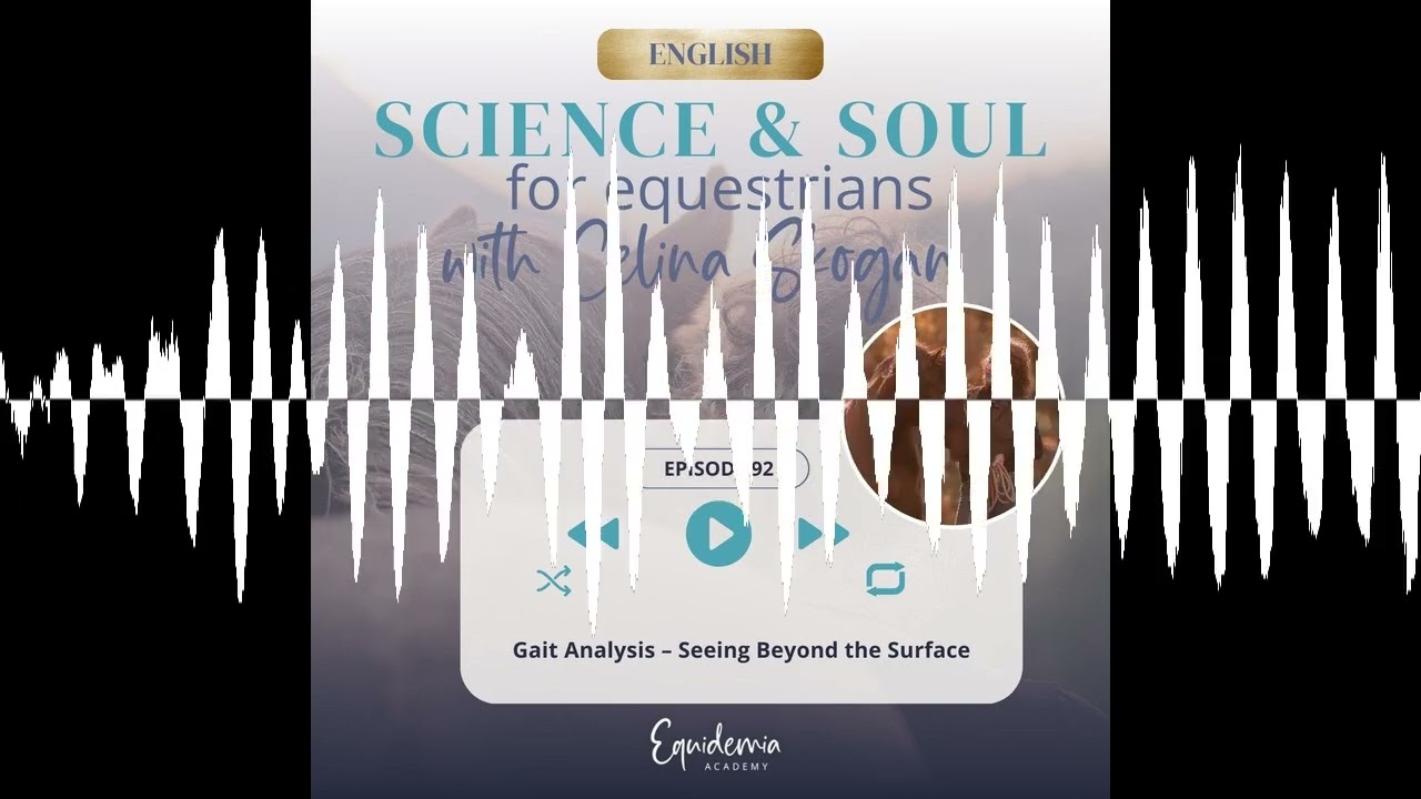 Gait Analysis – Seeing Beyond the Surface - Horsefriends international