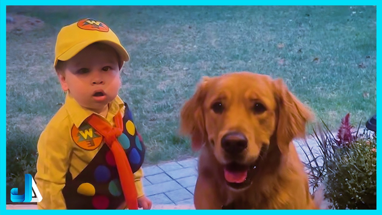 🐶 Dogs Protecting Babies Like Their Own Puppies 😂 Funny Dog Videos 2026