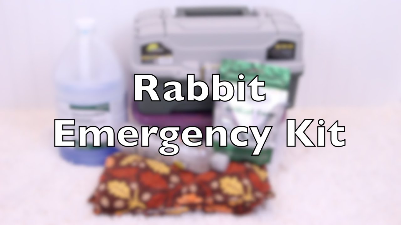 Rabbit Emergency Kit