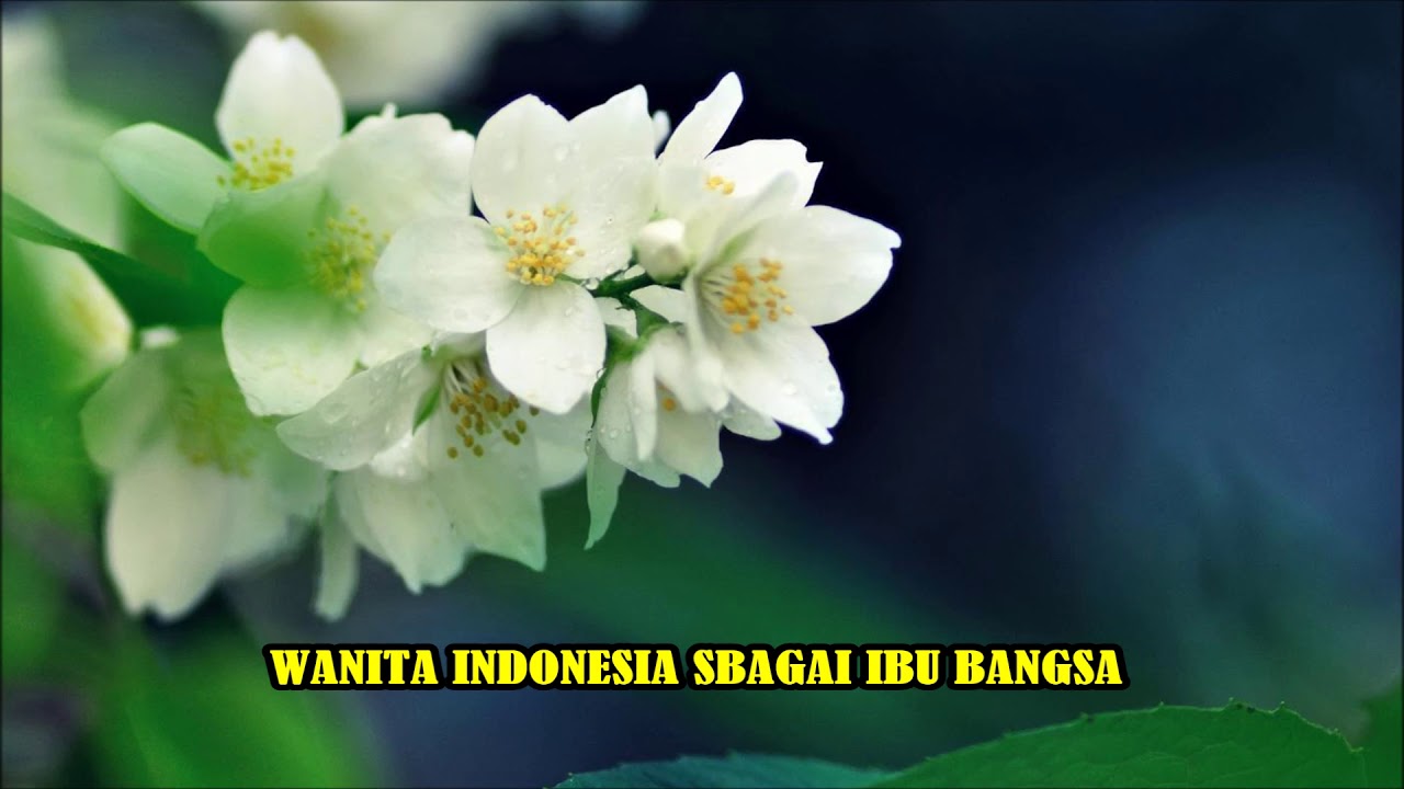 Hymne Hari Ibu