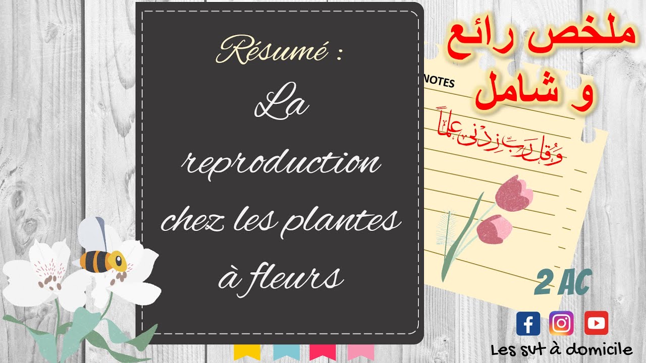 Un résumé de la reproduction chez les plantes à fleurs🌼(2AC) ملخص رائع و شامل