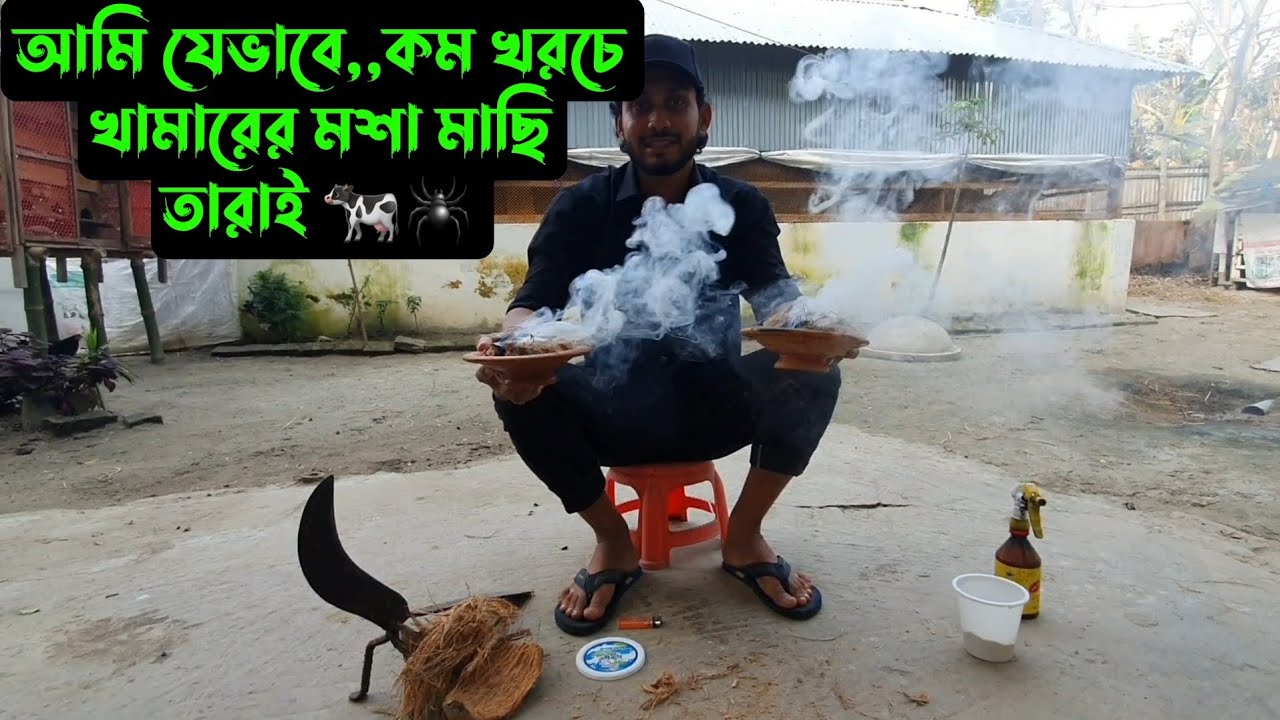 কম খরচে,,,আমি যেভাবে ফার্মের মশা মাছি তারাই 🐄🕷