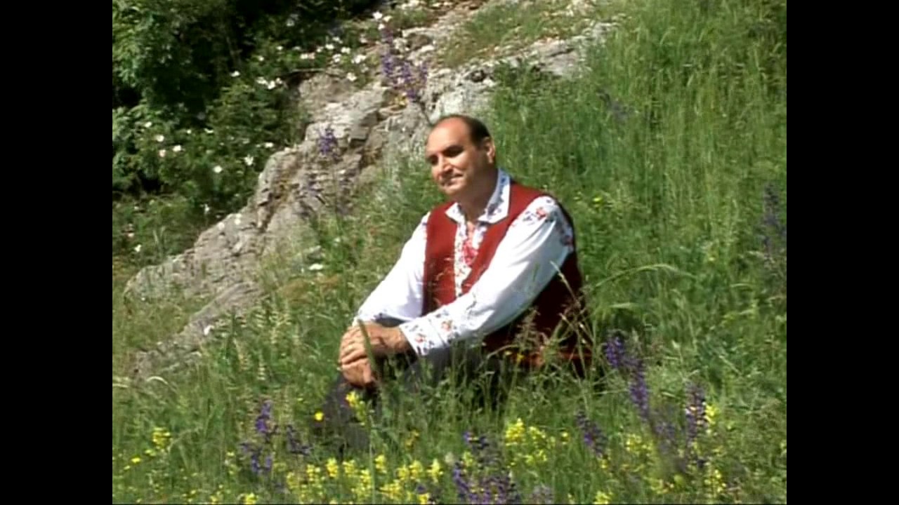 Copie a videoclipului M-aş face frate cu pinul.