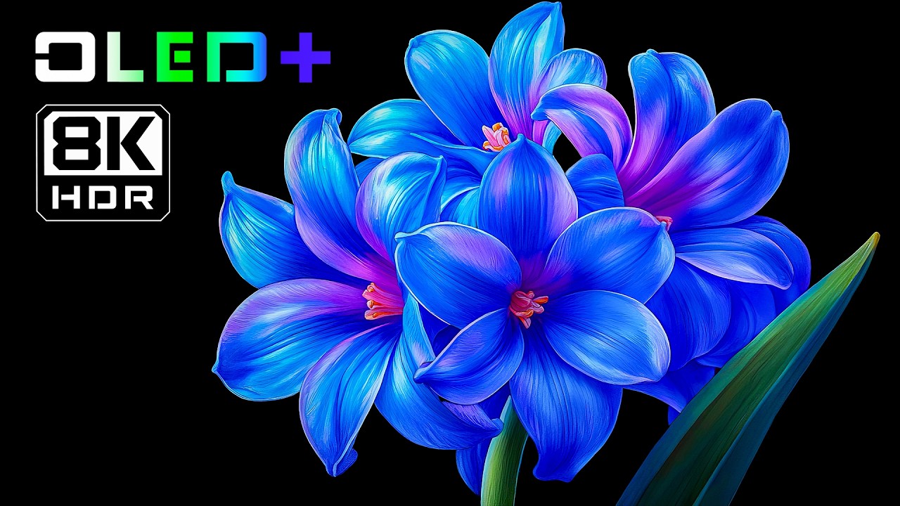OLED DEMO &ndash; Beautiful Blossoming Flowers in 8K HDR | Dolby Vision&trade;
