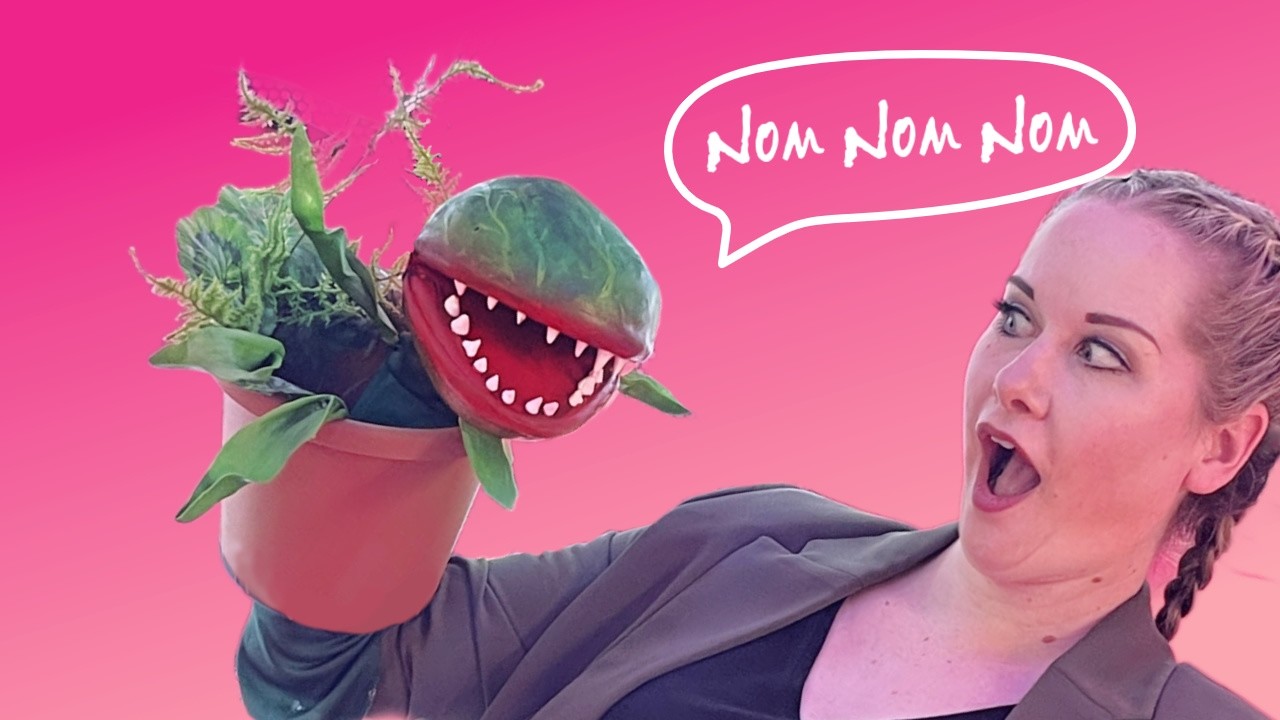 I made the Little Audrey 2 puppet from Little Shop of Horrors