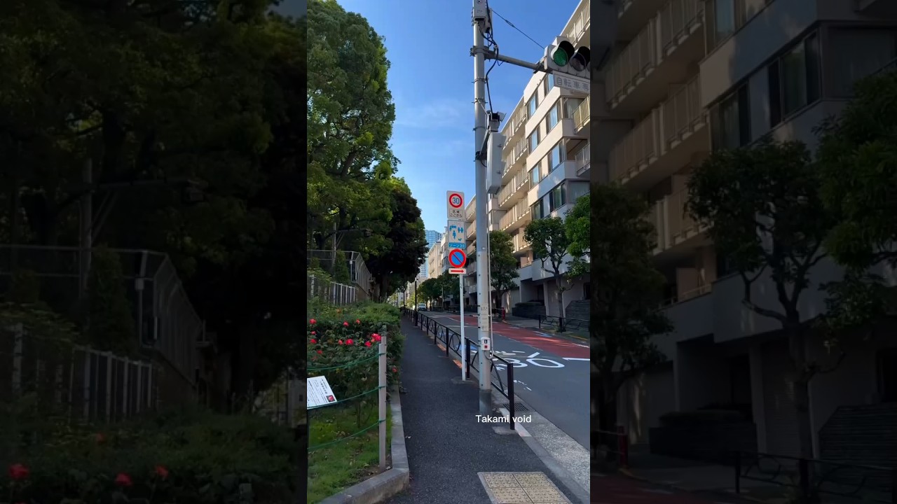&ldquo;Clean roads, calm hearts &mdash; Japan shows how discipline creates beauty 🌸🚶&zwj;♂️🇯🇵&rdquo;#japan#status