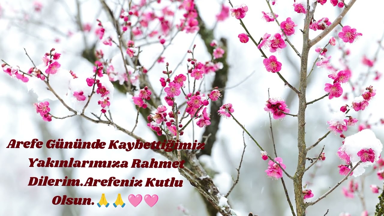 #arefe #arefegünü #sevdiğim #dua #kutlama #dilekduasıdinle 