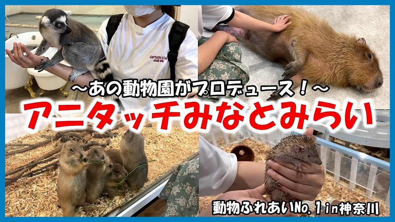 【アニタッチみなとみらい】動物ふれあいNo 1in神奈川～あの動物園がプロデュース！～