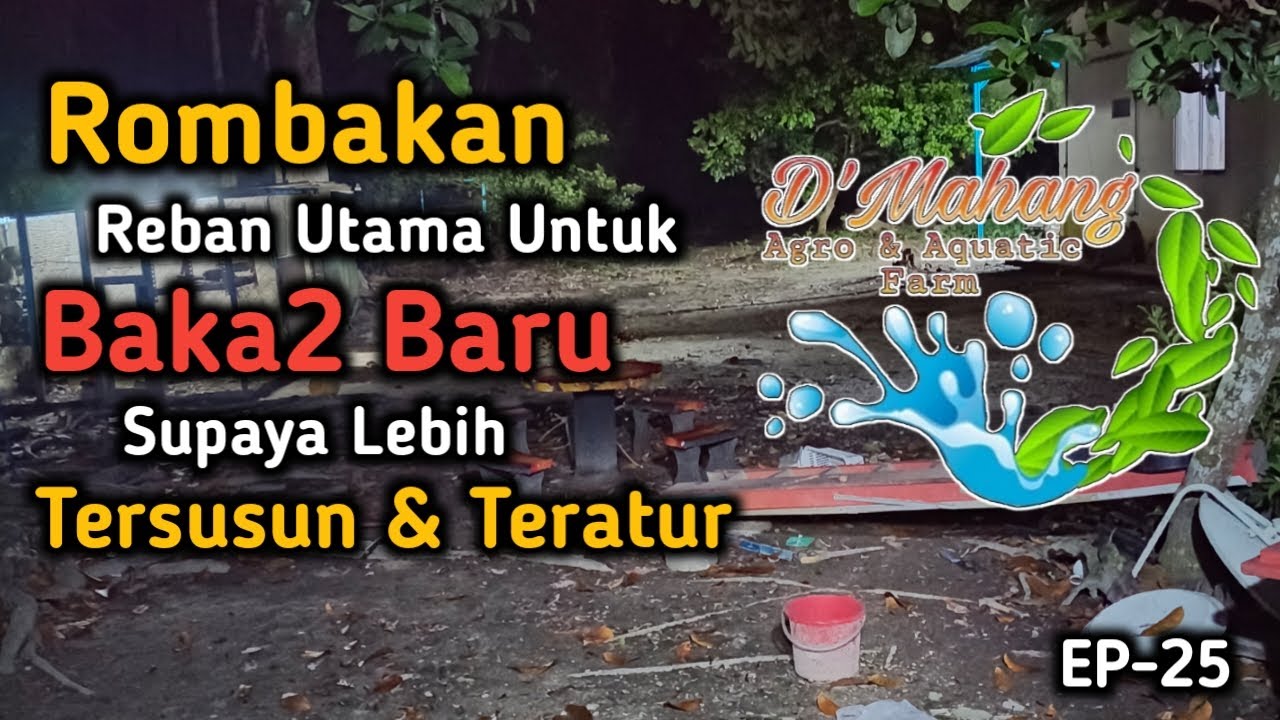EP 25 - Rombakan Reban Utama Untuk Baka2 Ayam Yang Baru