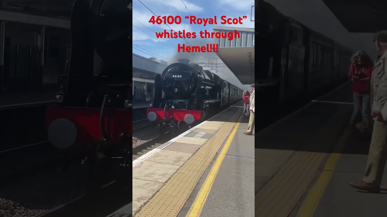 #shorts #5z31 #rare #cool #wow #steam #46100 #royalscot #class47 #kind #nice #whistle #legendary ry