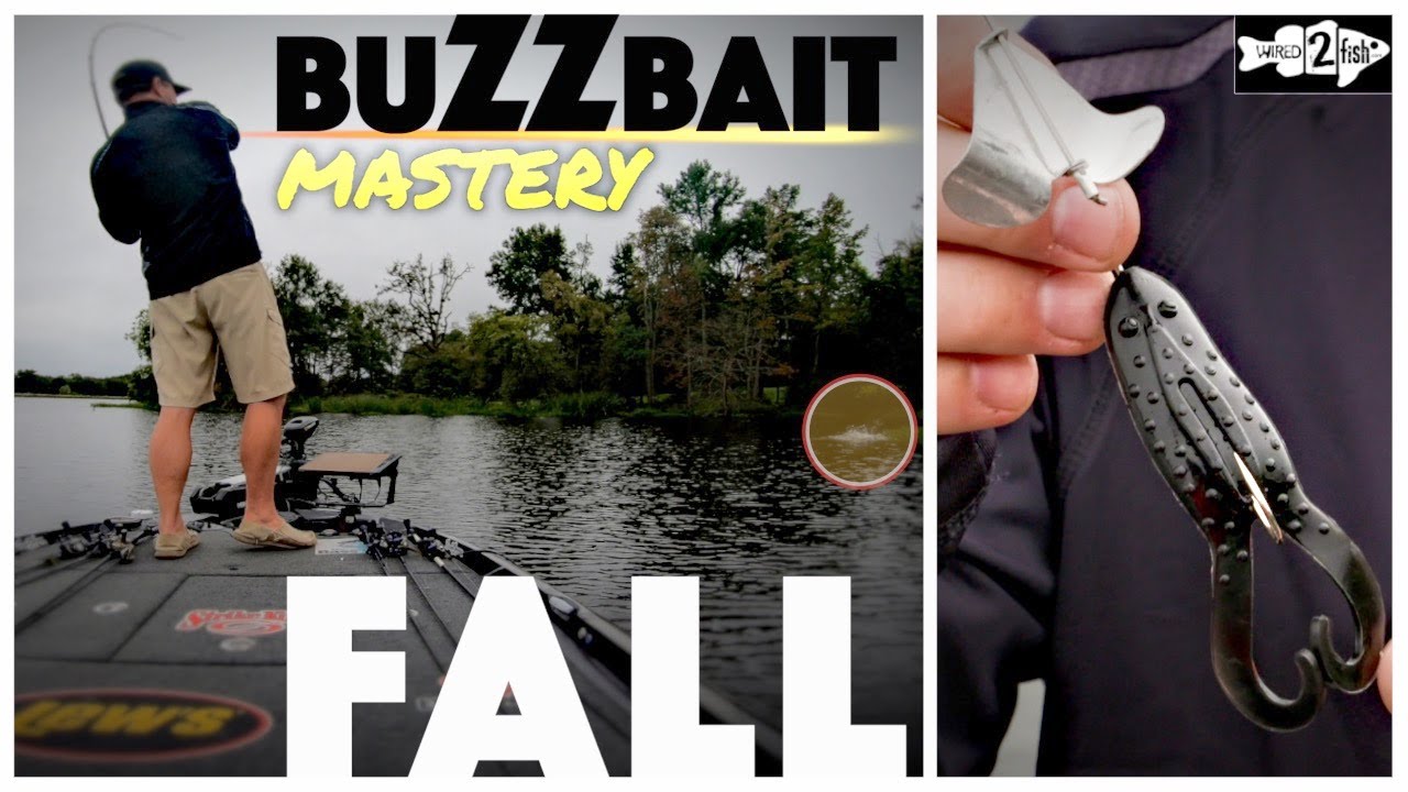 Советы по ловле окуня осенью с помощью приманки Buzzbait
