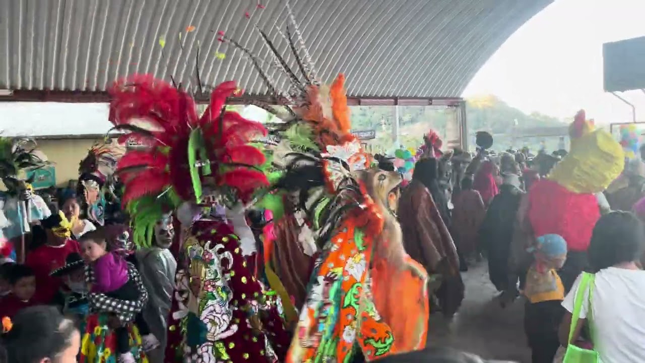 Carnaval 2 (Veracruz, Pino Suárez 2026) 