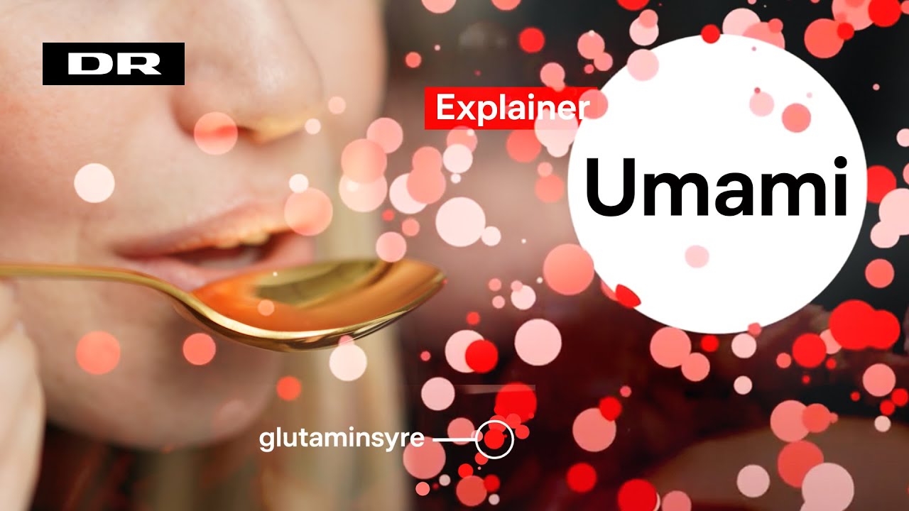 Er umami en rigtig smag?