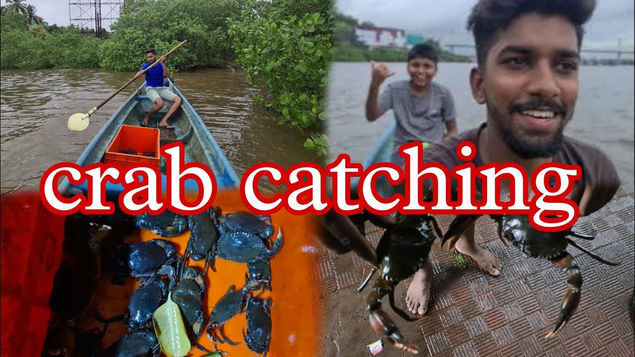 catching crabs in mandovi river 🦀 | mud crabs | #goa #thegoanboy #vlog #fishing