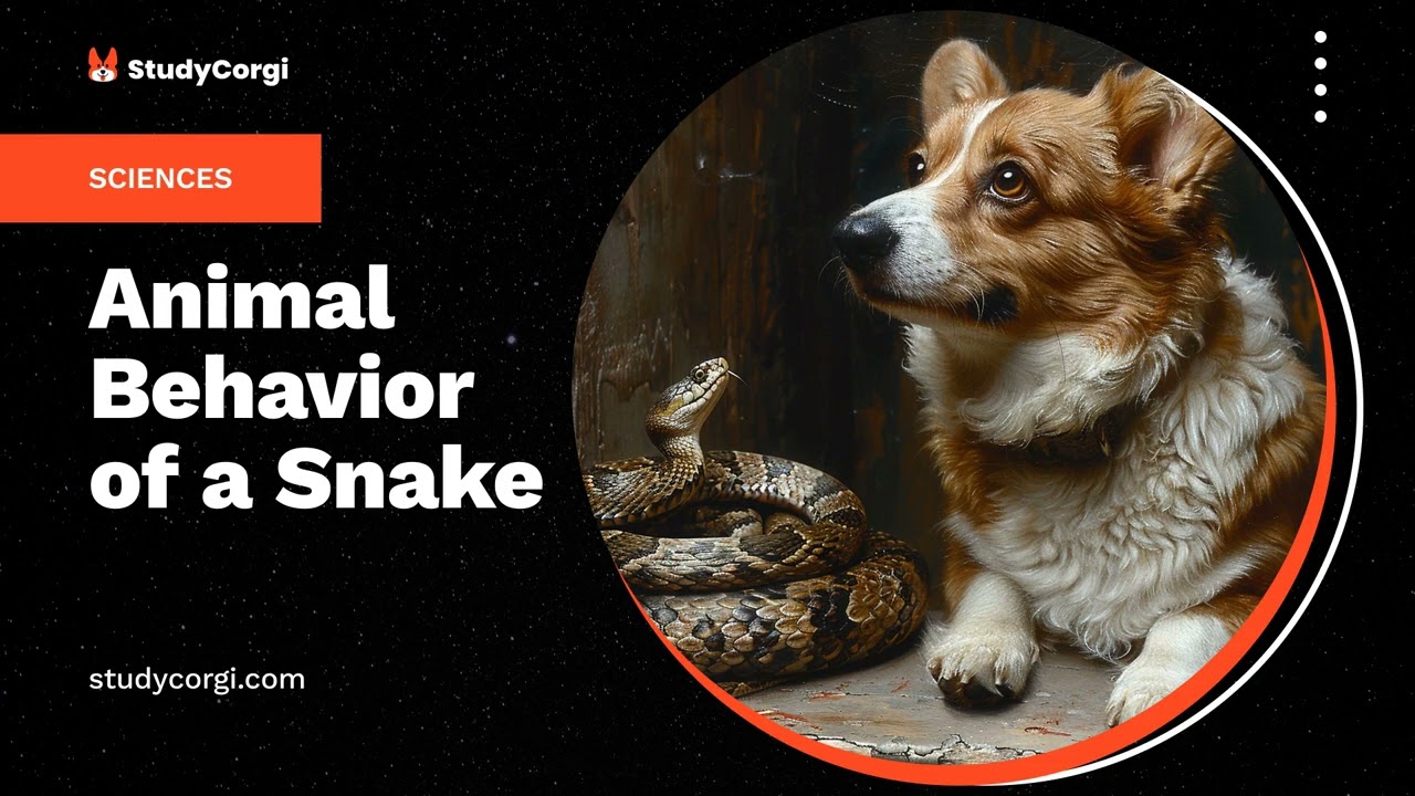 Animal Behavior of a Snake - Essay Example