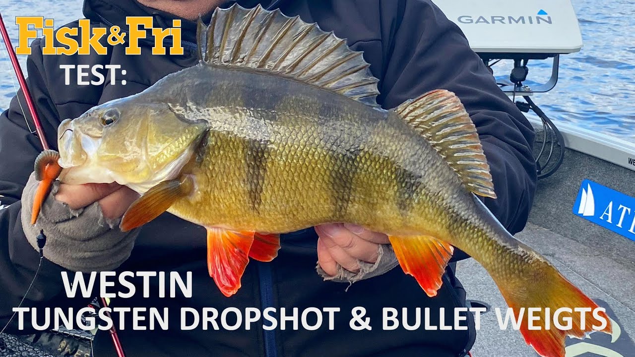 FISK & FRI TESTER WESTINS DROPSHOT OG BULLET WEIGHTS