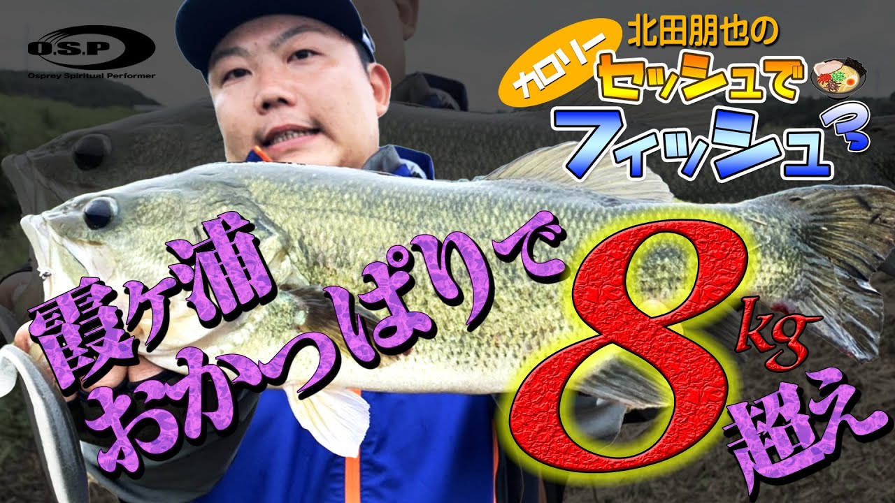 霞ヶ浦おかっぱりで8kg超え！バス釣りまくったらうな重が食べれた！【セッシュでフィッシュ】