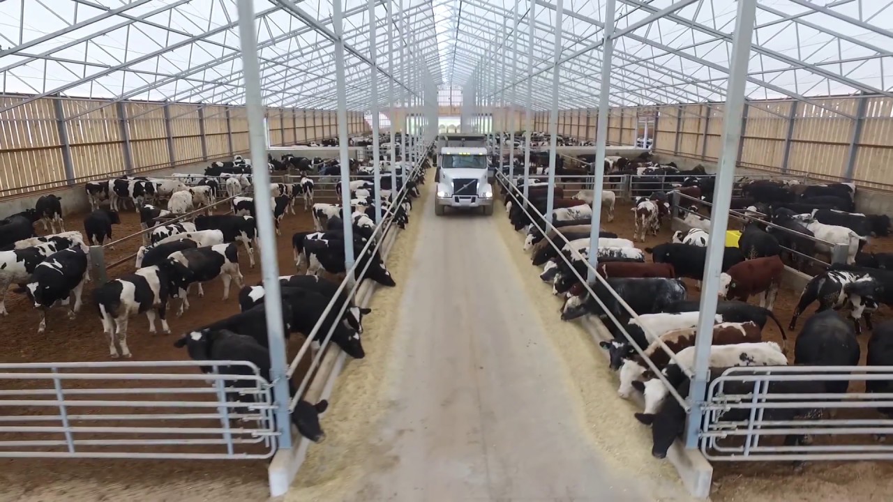 Wicketthorn Beef Farms