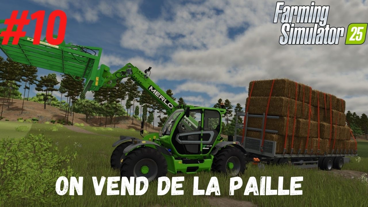 on vend de la paille #10 (fs 25)